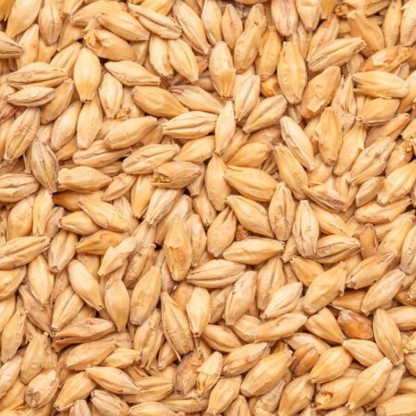 BEST PALE ALE - Image 2