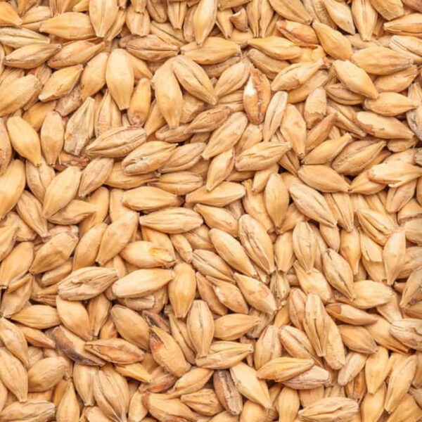 BEST CARAMEL PILS - Image 2