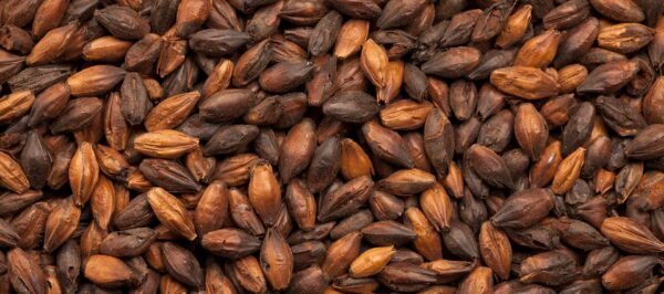 BEST CHOCOLATE - Image 2